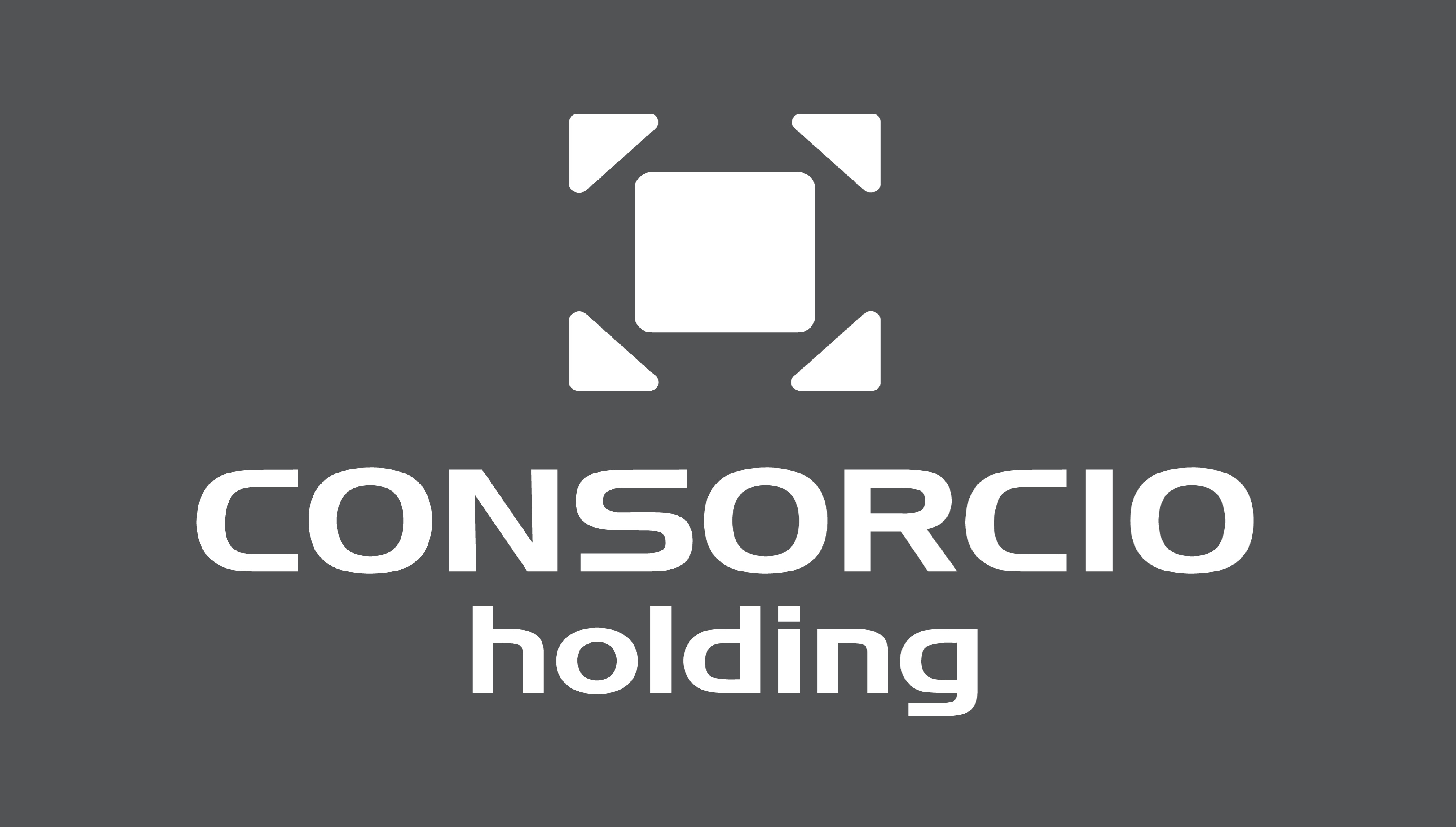 Consorcio Holding